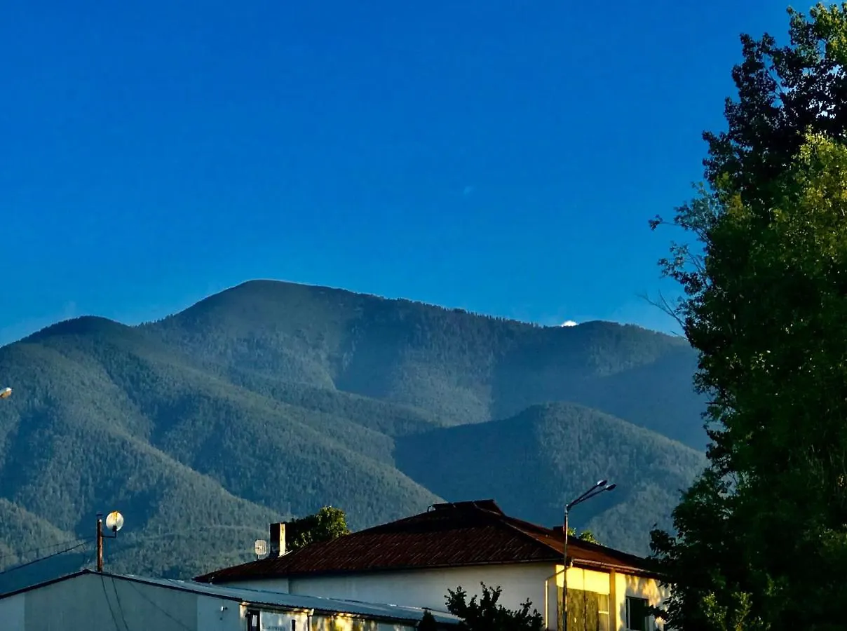 Luxury Downtown Apartment - Gondola Bansko